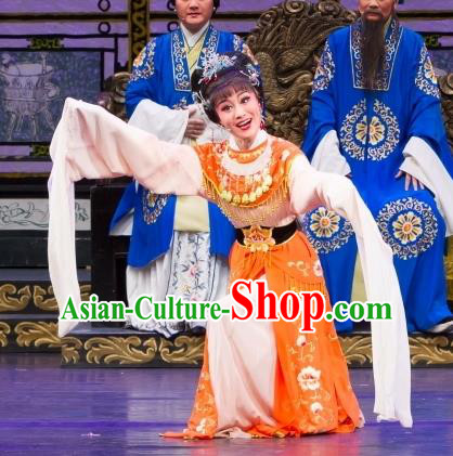 Chinese Shaoxing Opera Noble Female Dress Yue Opera Wu Nv Bai Shou Elderly Daughter Apparels Hua Tan Garment Costumes and Headpieces