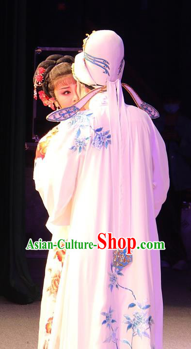 Chinese Yue Opera The Ungrateful Lover Qing Tan Young Male Costumes and Headwear Shaoxing Opera Apparels Clothing Scholar Wang Kui Garment