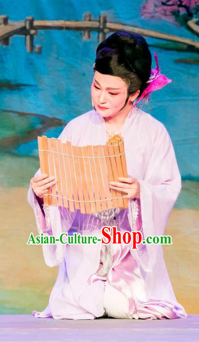 Chinese Shaoxing Opera Dame Dress Costumes and Hair Accessories Hu Die Meng Butterfly Dream Yue Opera Elderly Female Garment Apparels