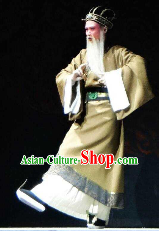 Chinese Yue Opera Elderly Male Apparels Costumes and Hat Shaoxing Opera Changle Palace Old Man Clothing Official Garment