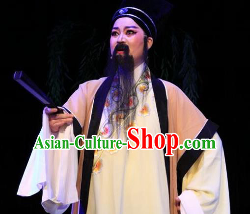 Lions Roar Chinese Yue Opera Elderly Male Costumes and Hat Shaoxing Opera Laosheng Poet Su Dongpo Garment Apparels