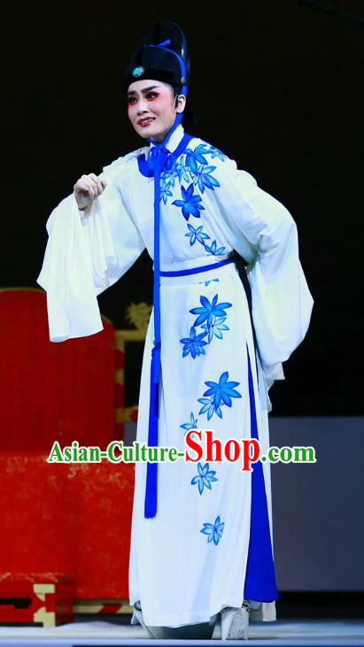 Liu Yong Chinese Yue Opera Young Male Role Xiao Sheng Garment and Hat Shaoxing Opera Scholar Poet Apparels Costumes