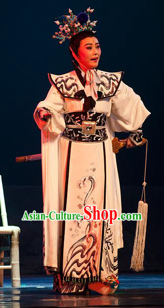 Chinese Yue Opera Princess Shanhu Costumes and Headwear Hai Ming Zhu Shaoxing Opera Young Male Apparels Niche Garment