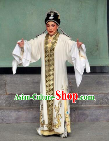 Chinese Yue Opera Official Robe Costumes and Headwear Xun An Zhan Fu Shaoxing Opera Xiaosheng Garment Scholar Xu Qing Apparels