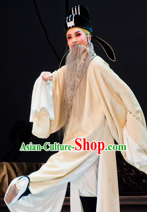 Chinese Yue Opera Elderly Male White Robe Garment and Headwear Shaoxing Opera Lao Sheng Costumes Apparels Poet Clothing