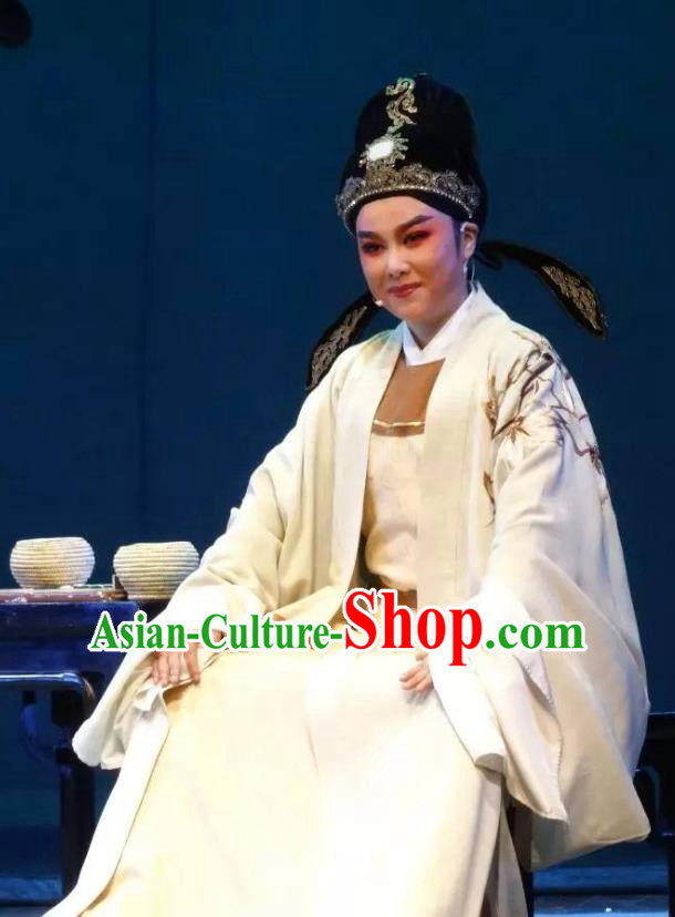 Chinese Yue Opera Niche Scholar Pan Bizheng Apparels Costumes and Headwear Dao Guan Qin Yuan Shaoxing Opera Xiaosheng Scholar Garment