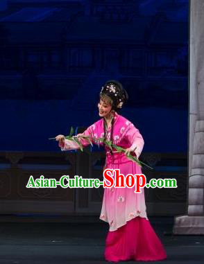 Chinese Shaoxing Opera Hua Tan Yuan Yumei Rosy Dress Garment and Headpiece Tao Li Mei Yue Opera Actress Apparels Young Female Costumes