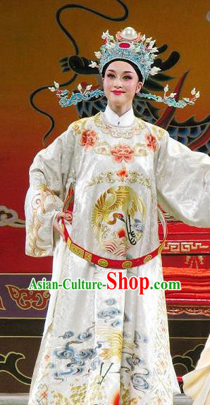 Chinese Yue Opera Number One Scholar Li Mei Yue Clothing and Hat Shaoxing Opera Xiaosheng Apparels Garment Young Male Costumes