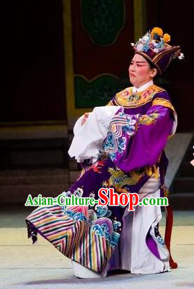 Chinese Yue Opera The Number One Scholar Is Not Love Cloun Clothing and Headwear Shaoxing Opera Eunuch Costumes Garment
