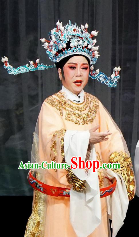 Chinese Yue Opera Chancellor Golden Palace Refuse Marriage Song Hong Apparels and Headwear Shaoxing Opera Official Embroidered Robe Garment Costumes