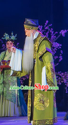 Ru Ji Chinese Peking Opera Laosheng Garment Costumes and Headwear Beijing Opera Elderly Male Apparels Clothing