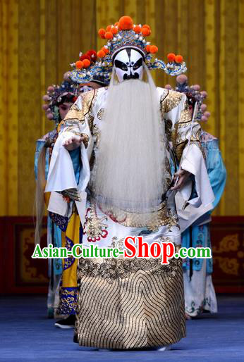 Ru Ji Chinese Peking Opera Elderly Official Garment Costumes and Headwear Beijing Opera Laosheng Apparels Minister Clothing