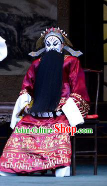 Di Qing Chinese Peking Opera Official Hu Tianhua Garment Costumes and Headwear Beijing Opera Military Assistant Apparels Elderly Male Clothing