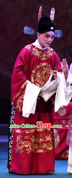 Love of Jade Hairpin Chinese Peking Opera Niche Zhao Qixian Garment Costumes and Headwear Beijing Opera Bridegroom Apparels Scholar Clothing