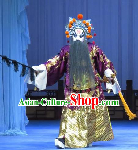 Tao Li Mei Chinese Ping Opera Elderly Male Costumes and Headwear Pingju Opera Minister Fang Hengxing Apparels Clothing