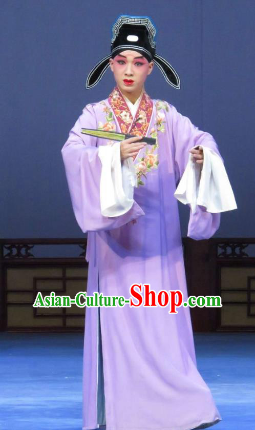 Tao Li Mei Chinese Ping Opera Scholar Hong Xueqin Costumes and Hat Pingju Opera Young Male Purple Robe Apparels Clothing
