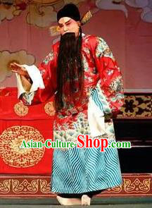 San Jie Lie Chinese Ping Opera Elderly Male Garment Costumes and Headwear Pingju Opera Laosheng Apparels Minister Zhao Huaguang Clothing
