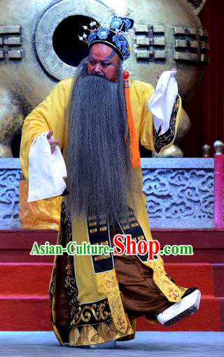Palm Civet for Prince Chinese Ping Opera Emperor Elderly Male Costumes and Headwear Pingju Opera Old Man Zhenzong Apparels Clothing
