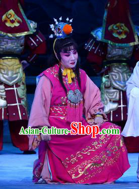 Palm Civet for Prince Chinese Ping Opera Wa Wa Sheng Costumes and Headwear Pingju Opera Crown Prince Apparels Clothing