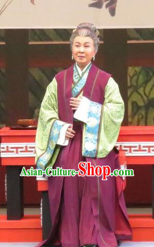 Chinese Ping Opera Dame Apparels Costumes and Headpieces Southeast Fly the Peacocks Traditional Pingju Opera Elderly Woman Dress Garment