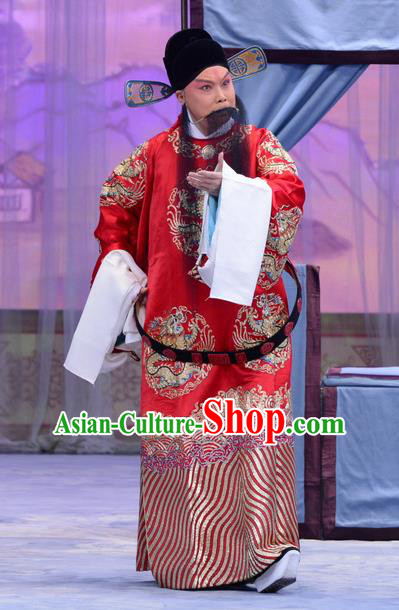 Han Yuniang Chinese Peking Opera Laosheng Garment Costumes and Headwear Beijing Opera Elderly Male Apparels Clothing Official Cheng Pengjv Embroidered Robe