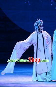 Chinese Beijing Opera Huadan Apparels Costumes and Headdress On A Wall and Horse Traditional Peking Opera Actress Li Qianjun Dress Hua Tan Garment