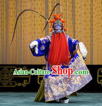 Chained Traps Chinese Peking Opera Laosheng Garment Costumes and Headwear Beijing Opera Elderly Male Apparels Dou Erduan Python Embroidered Robe Clothing