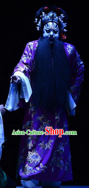 Tian Dao Xing Chinese Peking Opera Laosheng Garment Costumes and Headwear Beijing Opera Bully Liu Yinglong Apparels Elderly Male Clothing