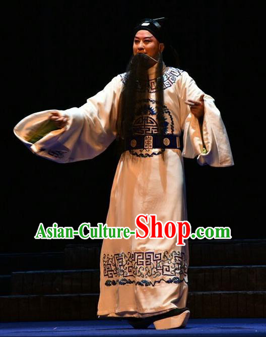 Qing Tian Dao Chinese Peking Opera Laosheng Garment Costumes and Headwear Beijing Opera Loyal Official Hai Rui Apparels Clothing