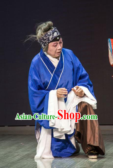 Chinese Beijing Opera Dame Sun Shulin Apparels Ba Zhen Tang Costumes and Headpieces Traditional Peking Opera Laodan Dress Elderly Female Garment