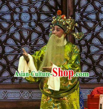 Ba Zhen Tang Chinese Peking Opera Elderly Male Garment Costumes and Headwear Beijing Opera Laosheng Apparels Official Zhang Wenda Clothing