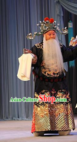 Ba Zhen Tang Chinese Peking Opera Old Official Zhang Wenda Garment Costumes and Headwear Beijing Opera Elderly Male Apparels Clothing