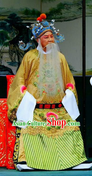 Ba Zhen Tang Chinese Peking Opera Laosheng Garment Costumes and Headwear Beijing Opera Jing Role Apparels Official Zhang Wenda Clothing