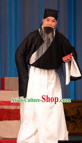 Zhu Sha Zhi Chinese Peking Opera Laosheng Garment Costumes and Headwear Beijing Opera Apparels Old Man Clothing