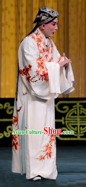 Hongniang Chinese Peking Opera Xiaosheng Garment Scholar Zhang Gong Costumes and Headwear Beijing Opera Young Male Apparels Clothing
