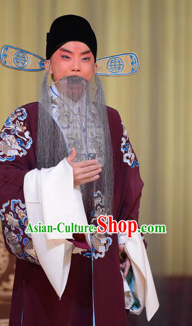 Hong Yang Dong Chinese Peking Opera General Yang Yanzhao Garment Costumes and Headwear Beijing Opera Laosheng Apparels Elderly Male Clothing