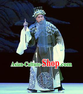 Su Qin Chinese Peking Opera Laosheng Political Strategists Garment Costumes and Headwear Beijing Opera Elderly Male Apparels Clothing