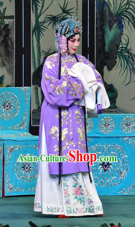 Chinese Beijing Opera Young Female Purple Apparels Su Xiaomei Costumes and Headpieces Traditional Peking Opera Hua Tan Dress Diva Garment
