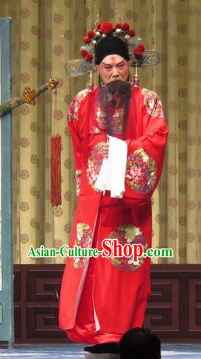 Qin Xianglian Chinese Ping Opera Official Chen Shimei Garment Costumes and Headwear Pingju Opera Elderly Male Apparels Clothing