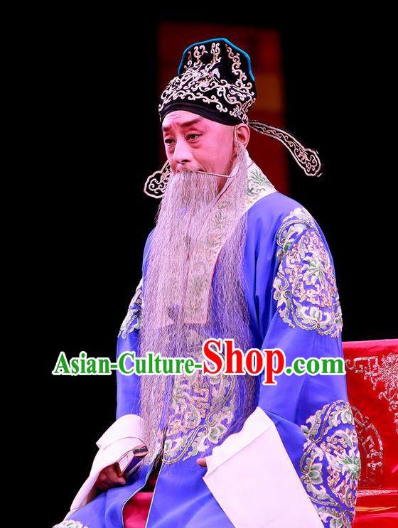 Shi Wen Hui Chinese Peking Opera Landlord Shen Zhong Garment Costumes and Headwear Beijing Opera Laosheng Apparels Clothing