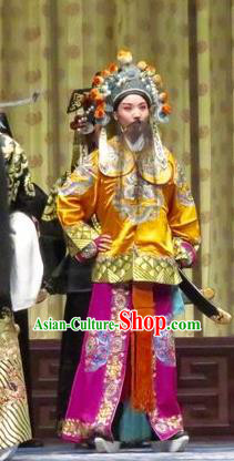 Qin Xianglian Chinese Ping Opera Bodyguard Garment Costumes and Headwear Pingju Opera Martial Male Apparels Clothing