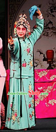 Chinese Ping Opera Actress Apparels Costumes and Headpieces Traditional Pingju Opera San Jie Lie Diva Zhao Suqin Dress Garment