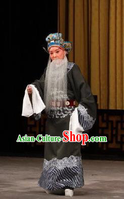 Xing Han Tu Chinese Peking Opera Laosheng Garment Costumes and Headwear Beijing Opera Old Man Apparels Official Zhang Cang Clothing