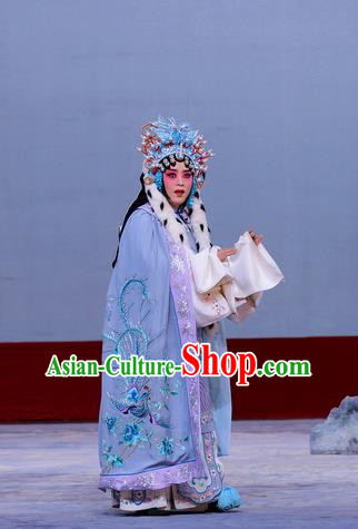 Chinese Beijing Opera Hua Tan Apparels Return to the Han Dynasty Costumes and Headpieces Traditional Peking Opera Diva Dress Imperial Concubine Cai Wenji Garment