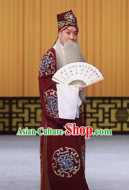 Wen Zhao Guan Chinese Peking Opera Laosheng Garment Costumes and Headwear Beijing Opera Old Man Wu Zixu Apparels Clothing
