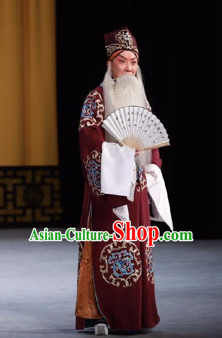 Wen Zhao Guan Chinese Peking Opera Laosheng Garment Costumes and Headwear Beijing Opera Old Man Wu Zixu Apparels Clothing