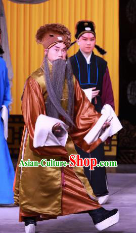 Hong Mu Ma Chou Chinese Peking Opera Laosheng Garment Costumes and Headwear Beijing Opera Elderly Male Apparels Landlord Hong Chengchou Clothing