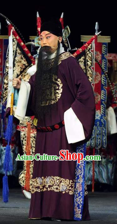 Return to the Han Dynasty Chinese Peking Opera Laosheng Garment Costumes and Headwear Beijing Opera Jing Role Apparels Elderly Male Official Clothing