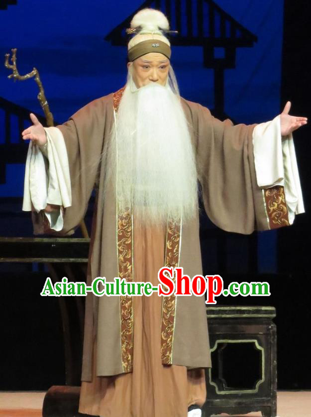 Saving Orphan Chinese Ping Opera Laosheng Garment Costumes and Headwear Pingju Opera Elderly Male Gongsun Chujiu Apparels Clothing
