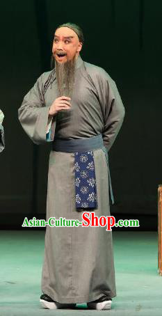 Inspector And Prince Chinese Peking Opera Civilian Male Garment Costumes and Headwear Beijing Opera Elderly Scholar Apparels Clothing